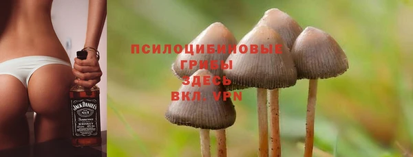 а пвп мука Алексеевка